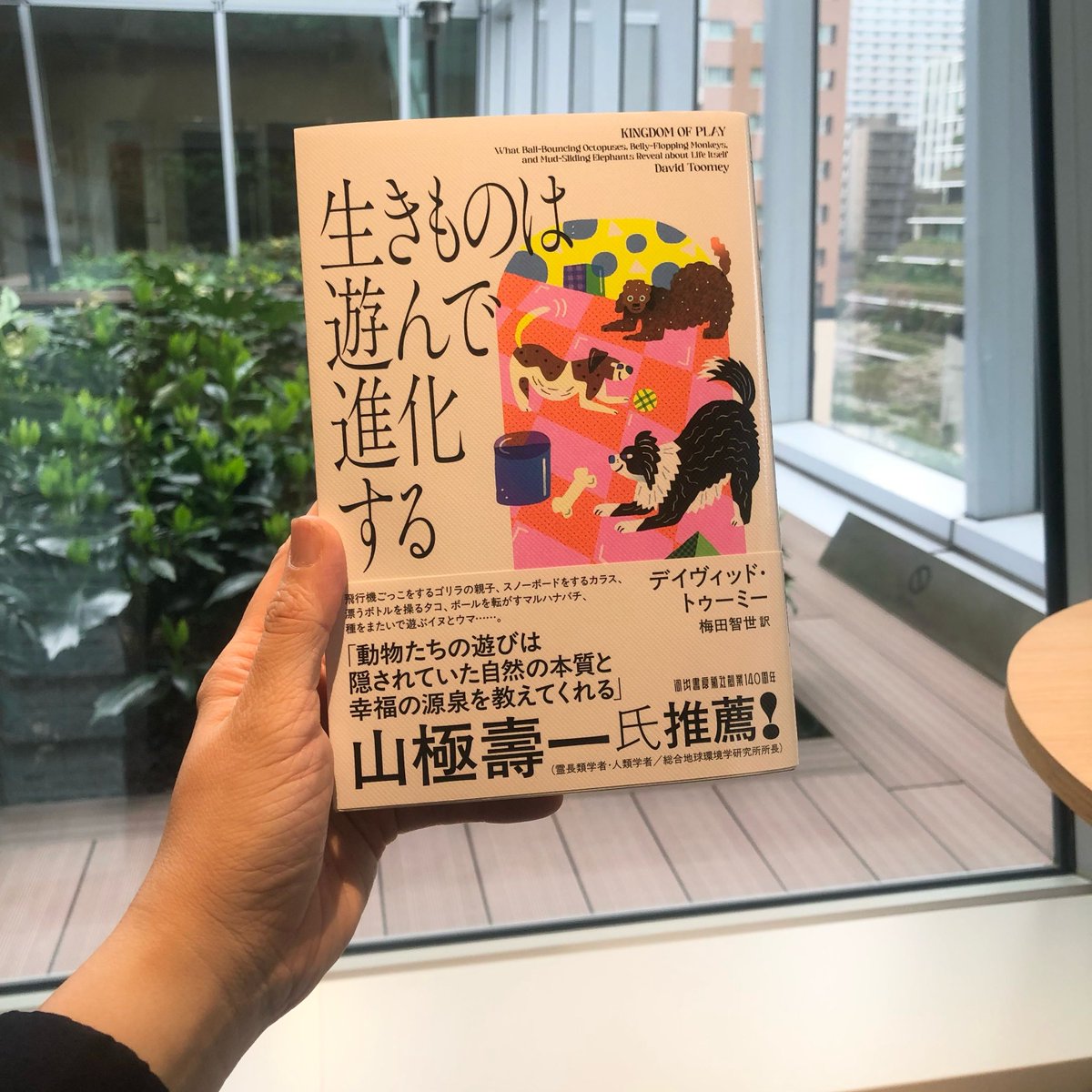 アカデミーヒルズ tweet media