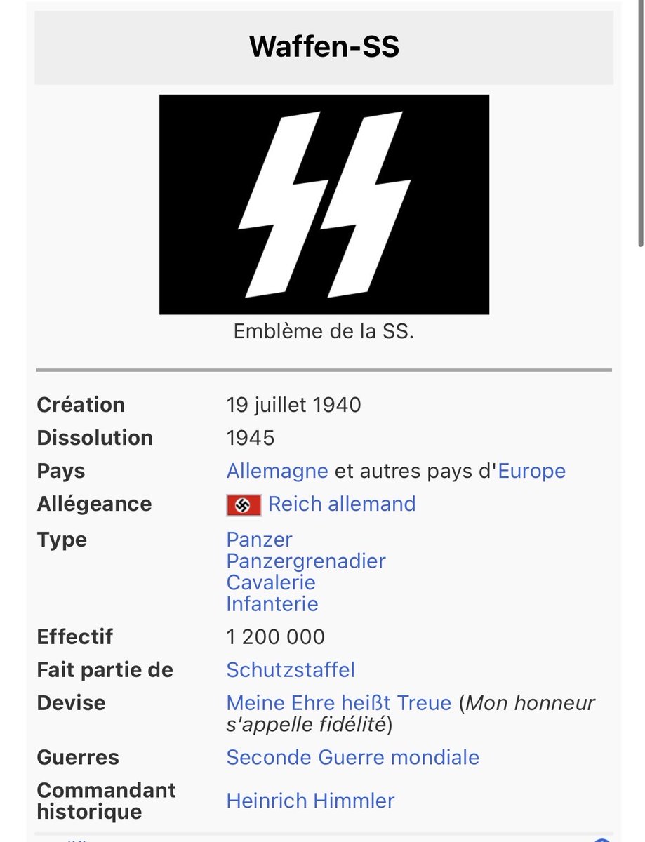 Zelephh_'s tweet photo. Boh tkt, c’est pas du tout un parti Nazi… https://t.co/yFIPVMnl6N