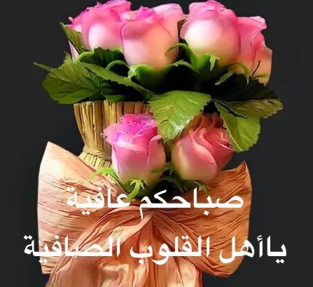 أحمد بن عبدالعزيز الغصن tweet media