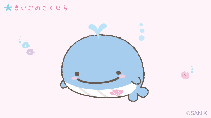 【公式】じんべえさん tweet media