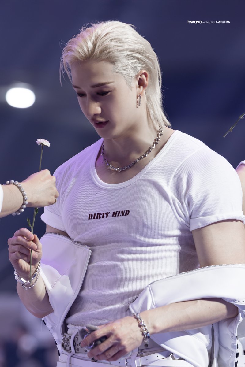 hwaya ∞🐺 tweet media