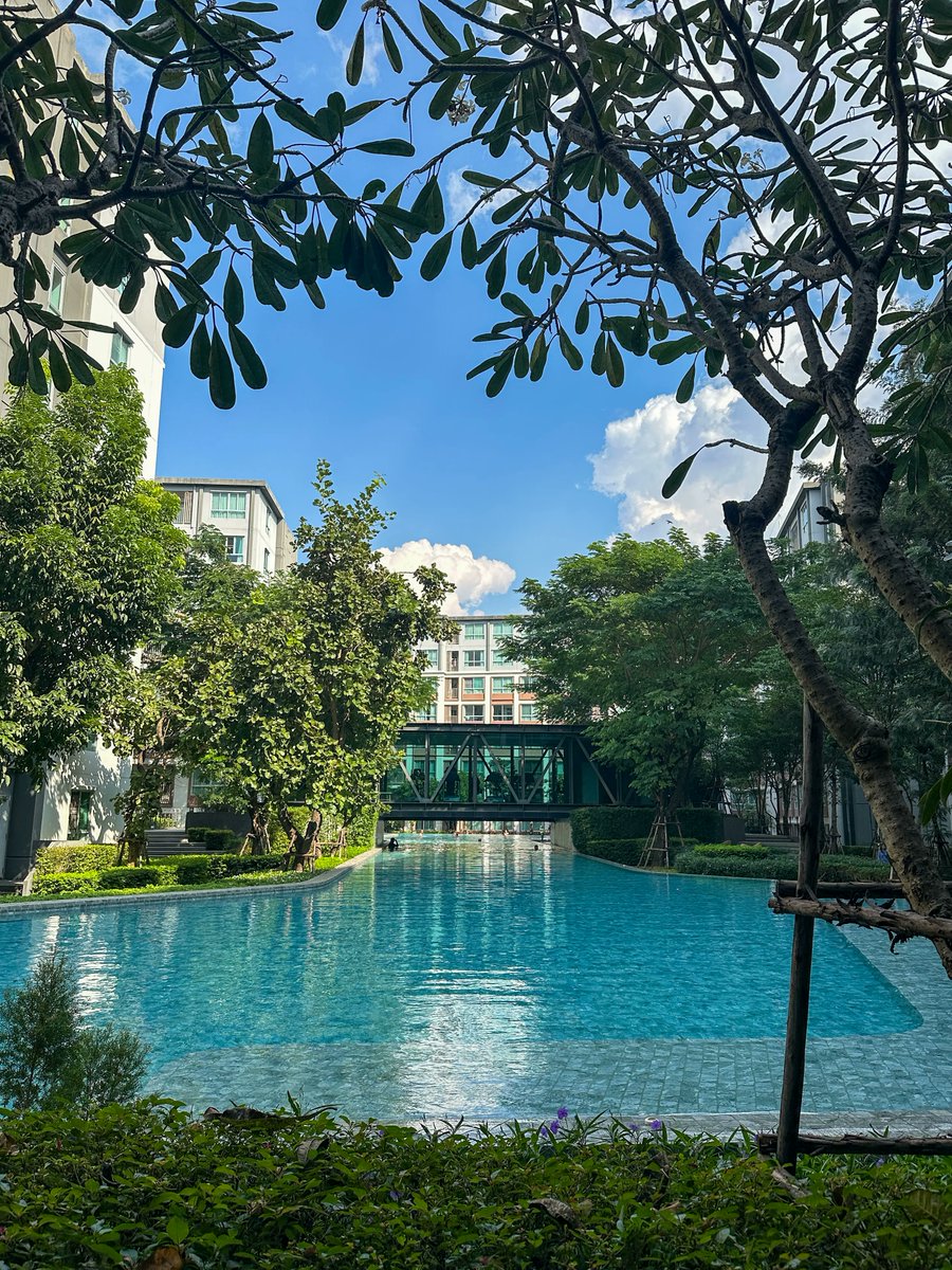 NY_ruisu's tweet photo. チェンマイ🇹🇭を旅行したので、正直に全部話します。良いことも、気になったことも。

・街中がおしゃれ
・日本人に優しい
・日本人は少ない
・麺料理が激うま
・ランチ1食300円
・カフェが空いてる
・夜でも治安が良い
・コンドミニアム多数
・日本スタイルの焼肉
・日本から直行便はない
・空港から市内まで15分
・雑貨屋のセンスが爆発
・ショッピングモール多数
・2月と3月はPM2.5がキツい
・デザイン系のノマドが集まる
・渋滞はバイタクで回避が必須

行ってみると「そりゃ、ヨーロッパの人たち好きやろー！」って思える、おしゃれさと物価と暮らしやすさのバランスが良い街でした