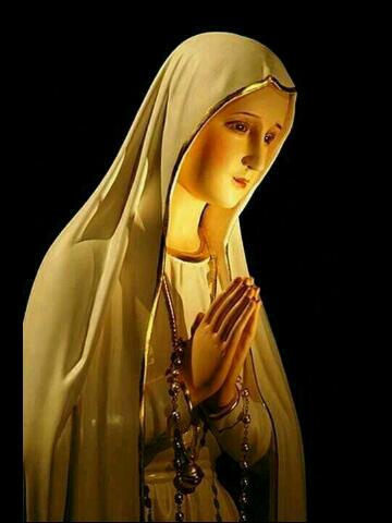 Consuelo Navarro 🇲🇽🇪🇸 tweet media