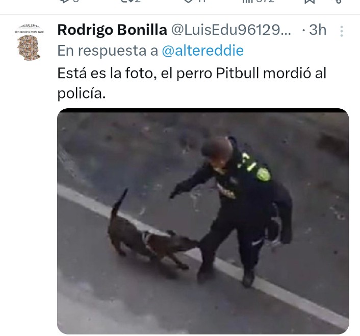 Isabella tweet media