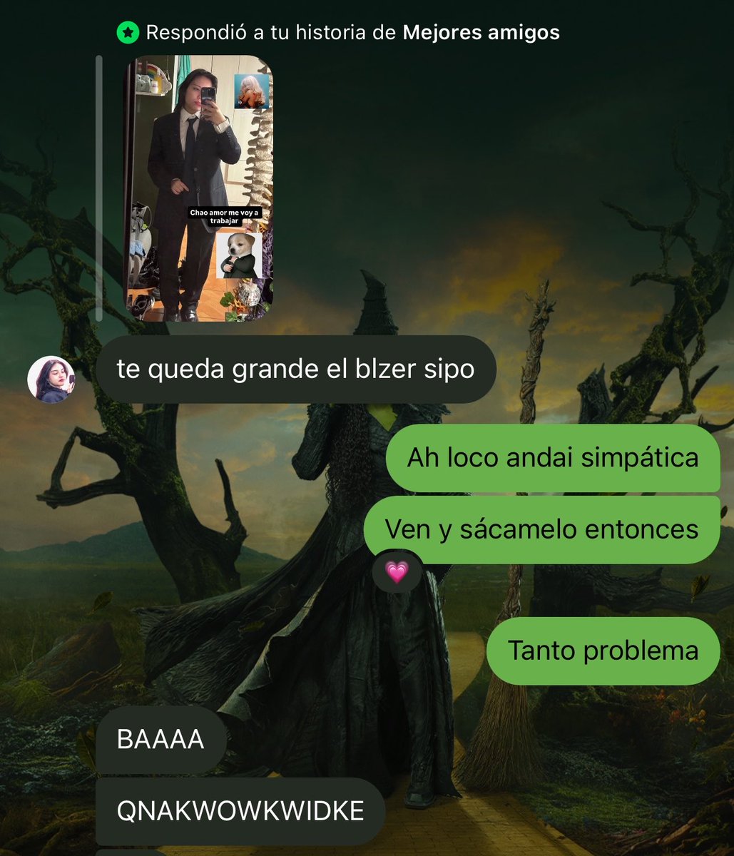 camila tweet media