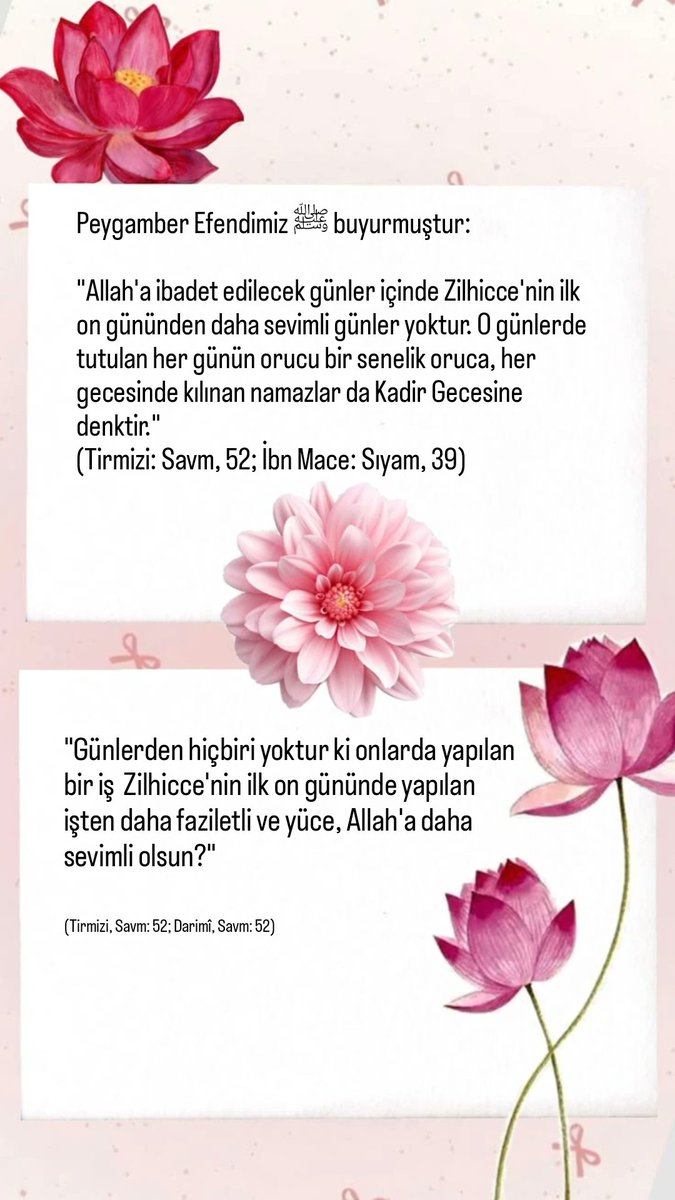 34_rehnuma's tweet photo. Peygamber Efendimiz ﷺ buyurmuştur:
"Allah'a ibadet edilecek günler içinde Zilhicce'nin ilk on gününden daha sevimli günler yoktur. O günlerde tutulan her günün orucu bir senelik oruca, her gecesinde kılınan namazlar da Kadir Gecesine denktir."
(Tirmizi:Savm,52;İbn Mace:Sıyam,39) https://t.co/zmqNwIfqQw