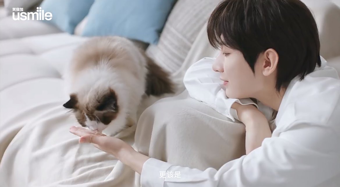 แป๋ว ⋆˚🐾˖° tweet media