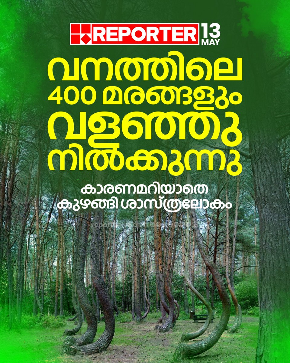 reporter_tv's tweet photo. വനത്തിലെ 400 മരങ്ങളും ഒരേ ദിശയിലേക്ക് വളഞ്ഞു നിൽക്കുന്നു
Read Story: https://t.co/muWis36Gg8
#pinetrees #poland #ReporterLive https://t.co/nB5Kdxu3Yp