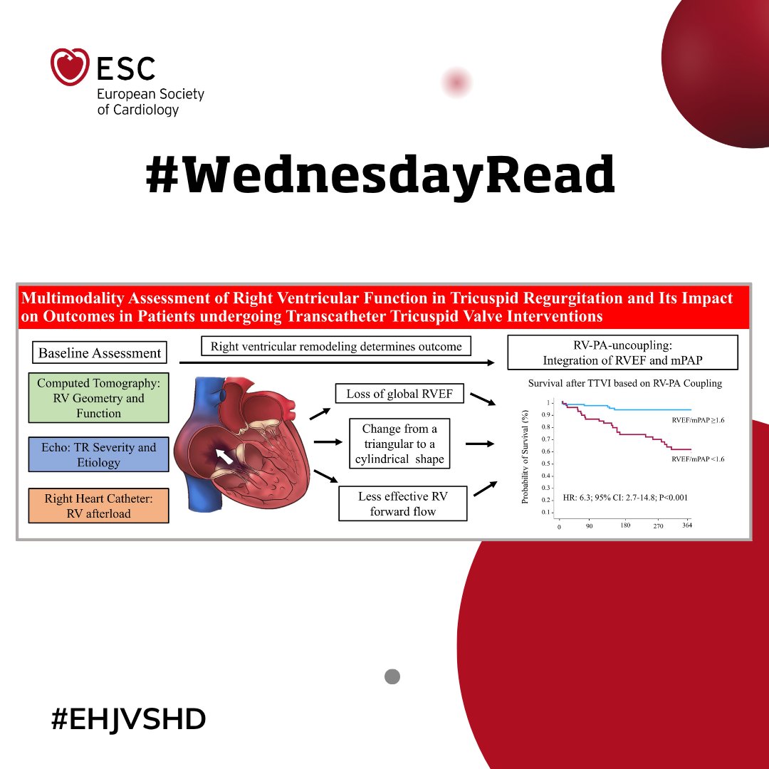 European Society of Cardiology tweet media