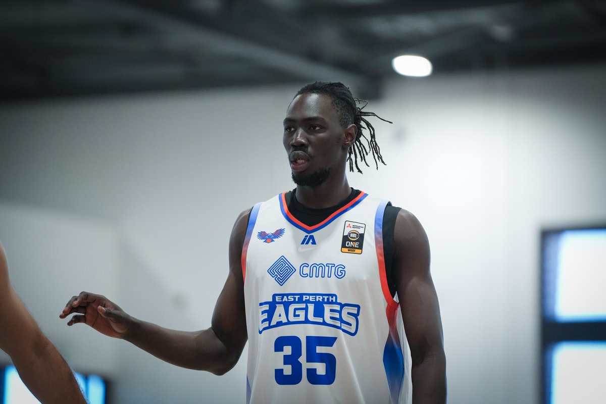Perth Wildcats tweet media
