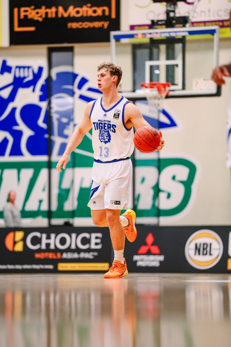 Perth Wildcats tweet media