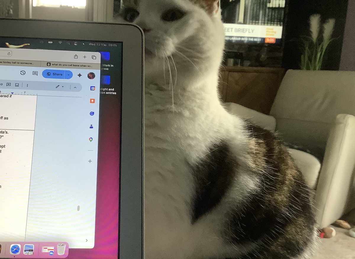 Puss Puss & Dottie ..Titch & Rupe OTRB tweet media
