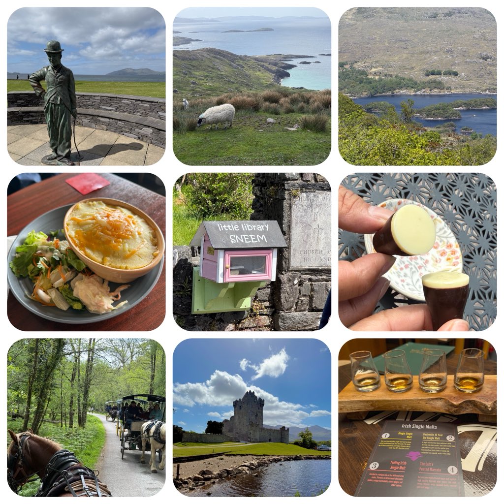 melpucca's tweet photo. Day 11 (12/05/2026). HQ in #Killarney.  Scoured around Ring of Kerry from Charlie Chaplin fave place to Scariff Inn w the best view in #Ireland, a jaunt car ride in partial section of Killarney national park to Ross Castle. Bro n I had single malt “whiskey flight” (paddle). https://t.co/lUO2J5uRSO