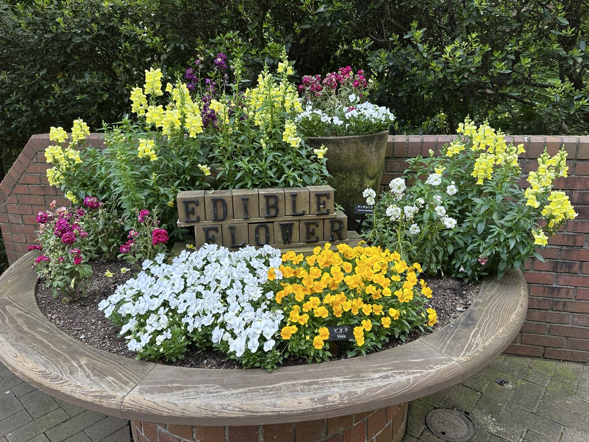Raiden3rd's tweet photo. 神戸のハーブ園行って来たよ
園内の花も綺麗に咲いてる時期で
天気も良かった☺️

ハンモックあるの最高〜！ https://t.co/N5cY4QTU3j