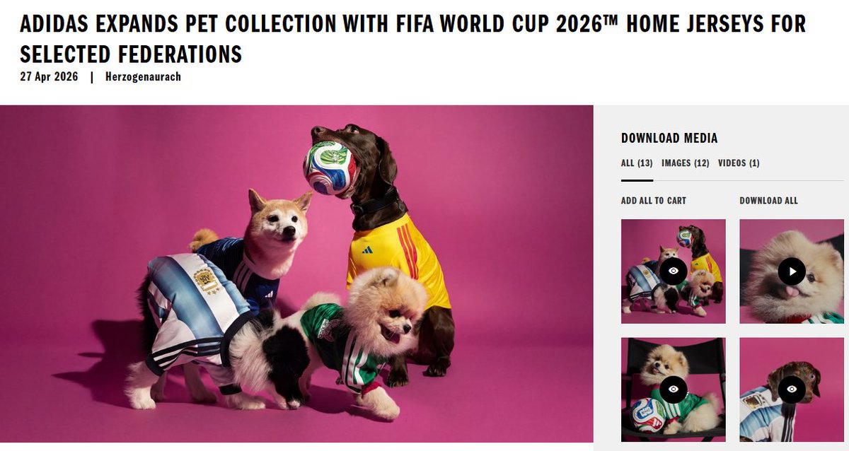 World Cup Shiba tweet media
