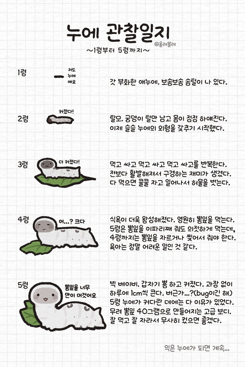 올레볼레 tweet media