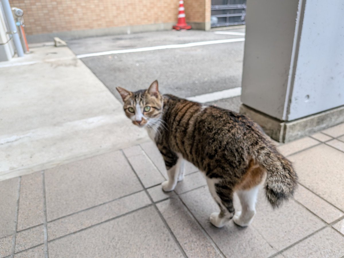 ウメちゃん