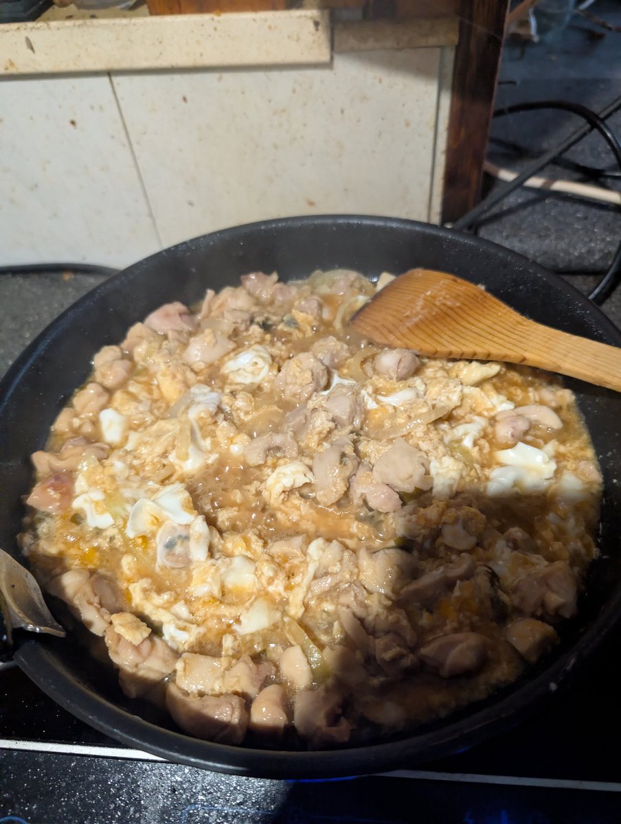 DCaynes's tweet photo. I tried my hand at cooking Oyakodon, not perfect but still tasty 🤤 https://t.co/ZZQ6Wey0CQ