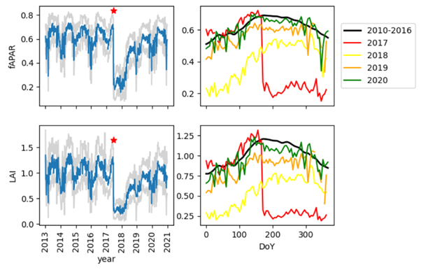esaclimate's tweet photo. ❓What makes ESA's Vegetation CCI+ dataset stand out – and how can you access, visualise and analyse it? Join us for our upcoming webinar on 20 May, where @christiaan_tol will answer these questions and demonstrate the insights that can be revealed by this kind of long-term record, from the immediate impact of forest fires to subtle shifts in seasonal phenology. Secure your spot here: https://t.co/vSgRbk5P6E