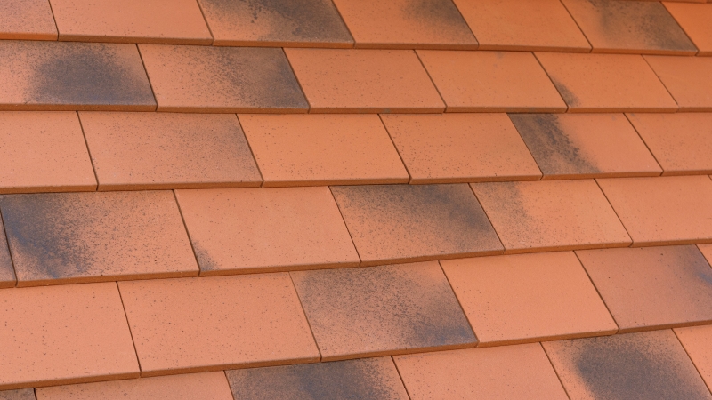 PB_mag's tweet photo. Want to know how to install single camber plain tiles? @MarleyLtd, answers some of the key technical questions for specifying and installing them 🏠

https://t.co/3KbipA3iJL https://t.co/qFIGAjz01k