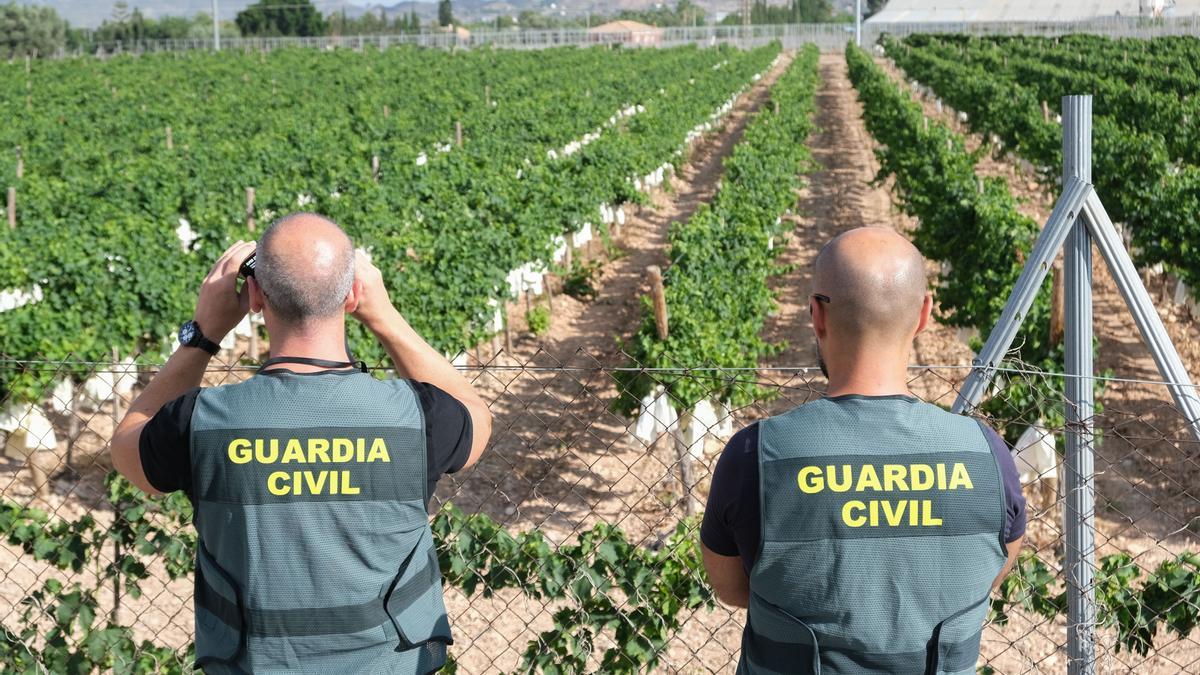 Guardia Civil tweet media