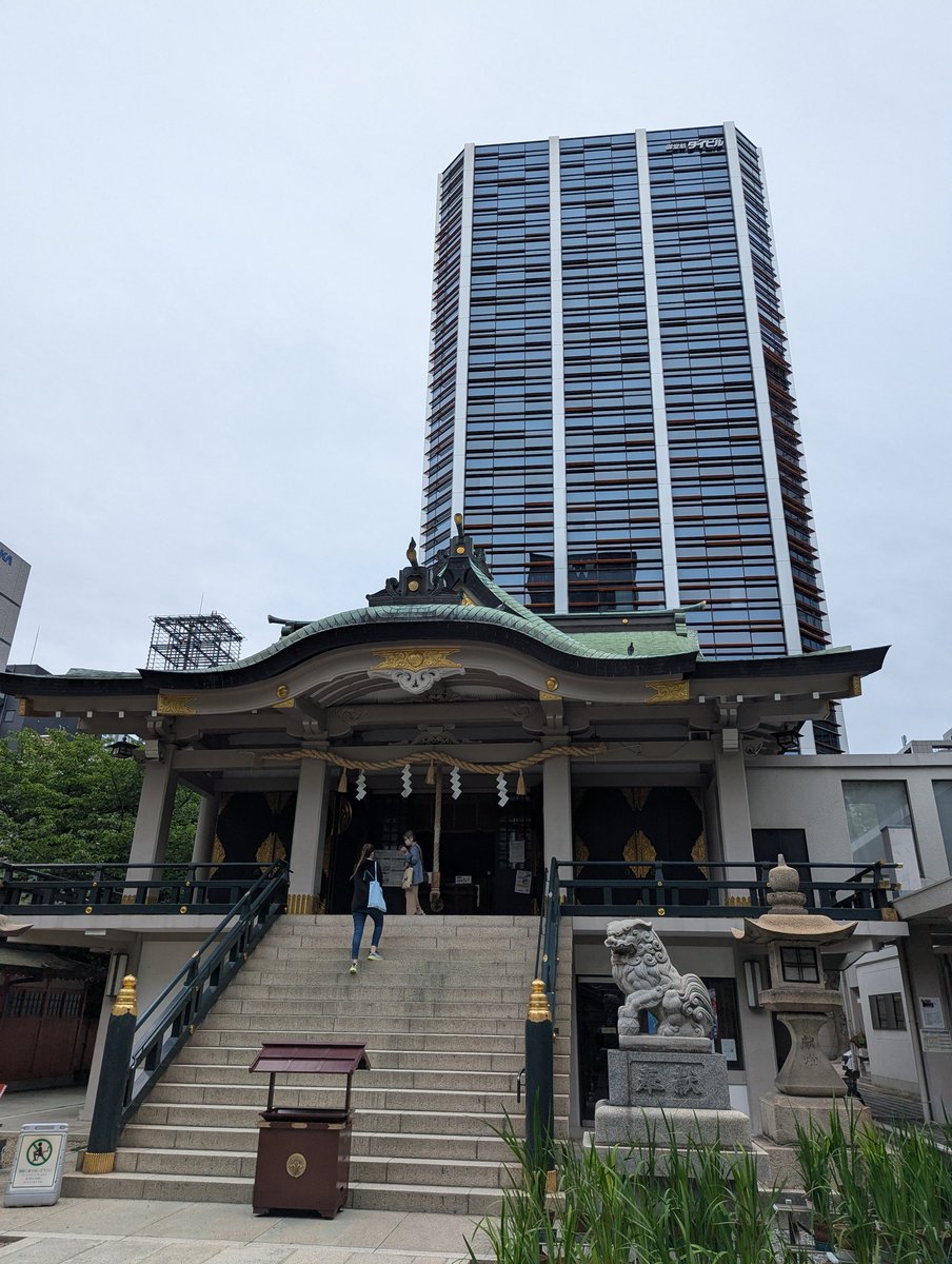 con1coon2's tweet photo. 大阪市中央区　難波神社へお詣りしてきました。菖蒲の株がたくさん置いてありました。
頂いた書き置きの御朱印にも菖蒲の花で彩ってありました。 https://t.co/gbNoYzdPJv