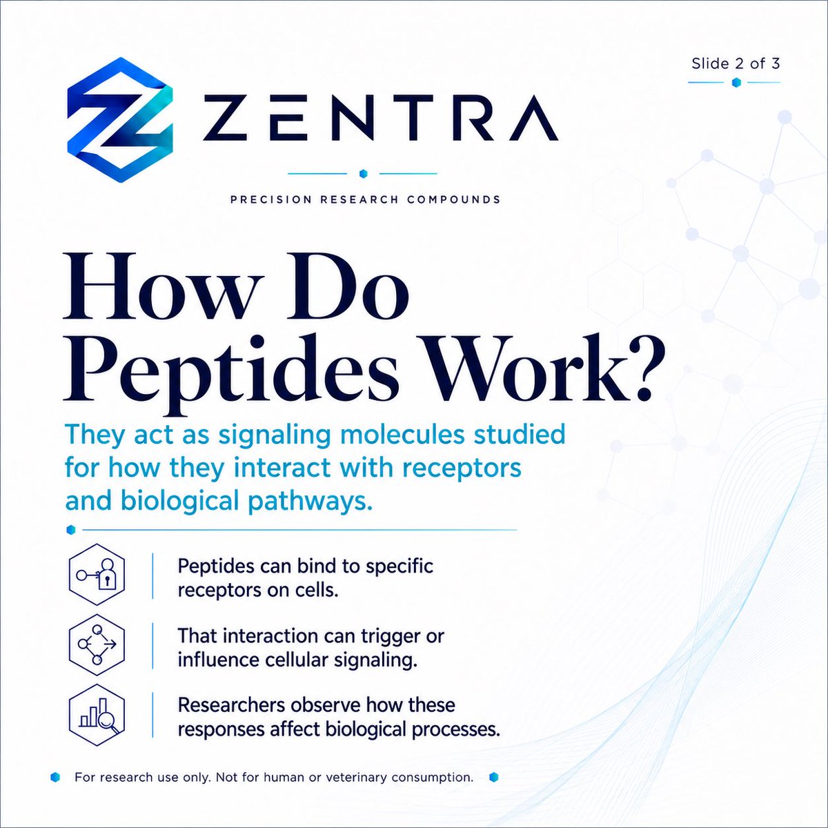 ZentraPeptides's tweet photo. 🧬 What are peptides?

Peptides are short chains of amino acids studied in scientific and laboratory research for their interaction with biological pathways, receptors and cellular signalling.

🌐 https://t.co/AkllbygTDm

For research use only https://t.co/k1SDhcYNHi