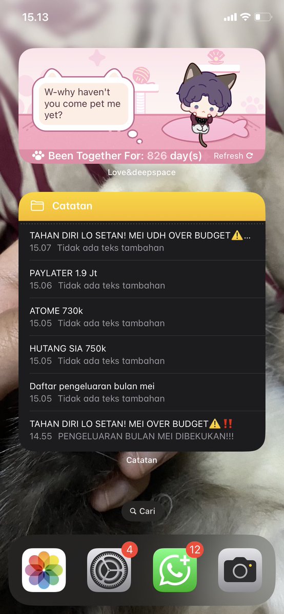 Saya Ikan tweet media