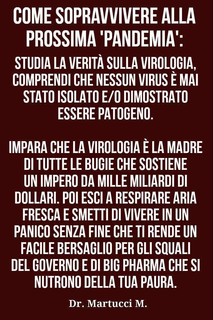 Sabrina F. tweet media