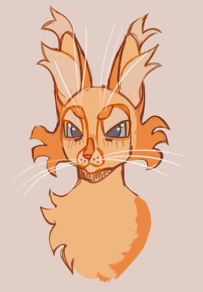 dogitigrade's tweet photo. Random kitty doodle what warrior cat would this be https://t.co/wOqfxNmRTk