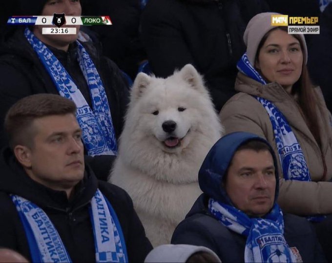 Out Of Context Football tweet media