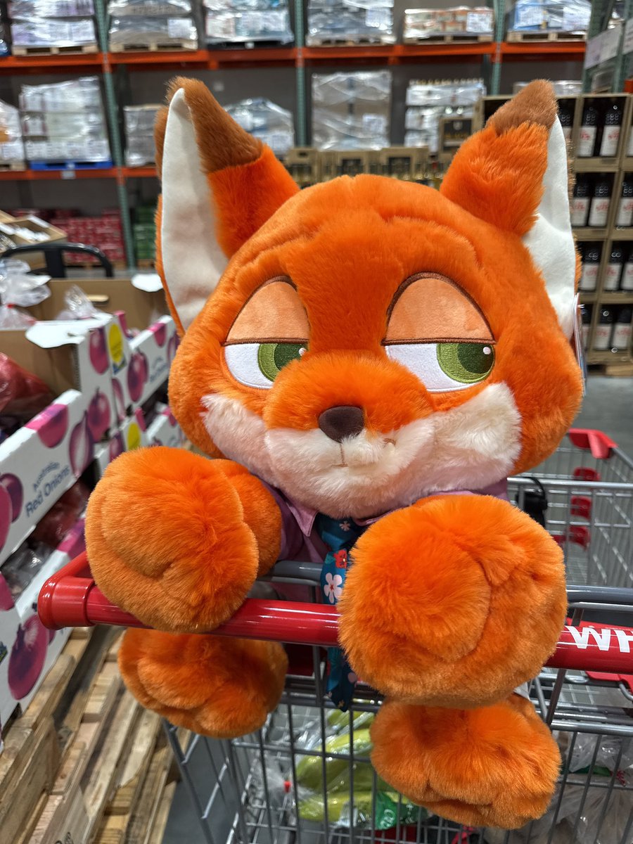 3ri797's tweet photo. 仲間が増えた🦊カートに乗ってるの可愛い🫶 https://t.co/JXuJK09CXd