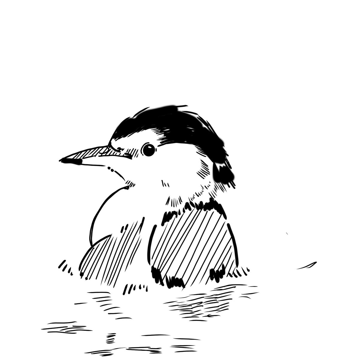 とりつじ tweet media