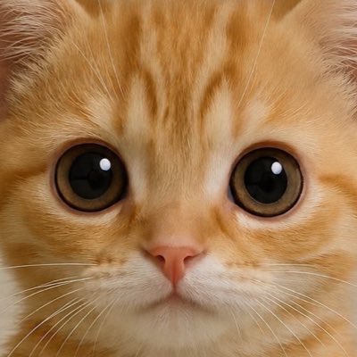ว่างมาก tweet media