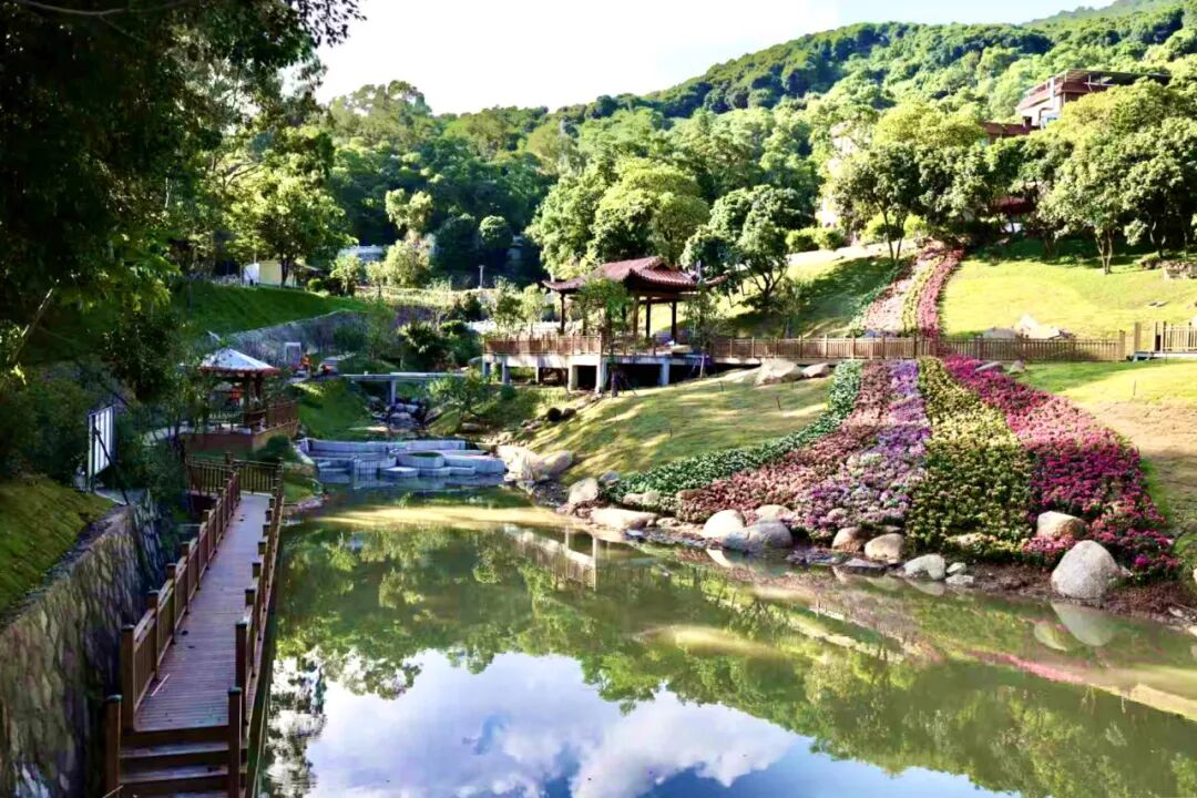 Hi Zhangzhou tweet media