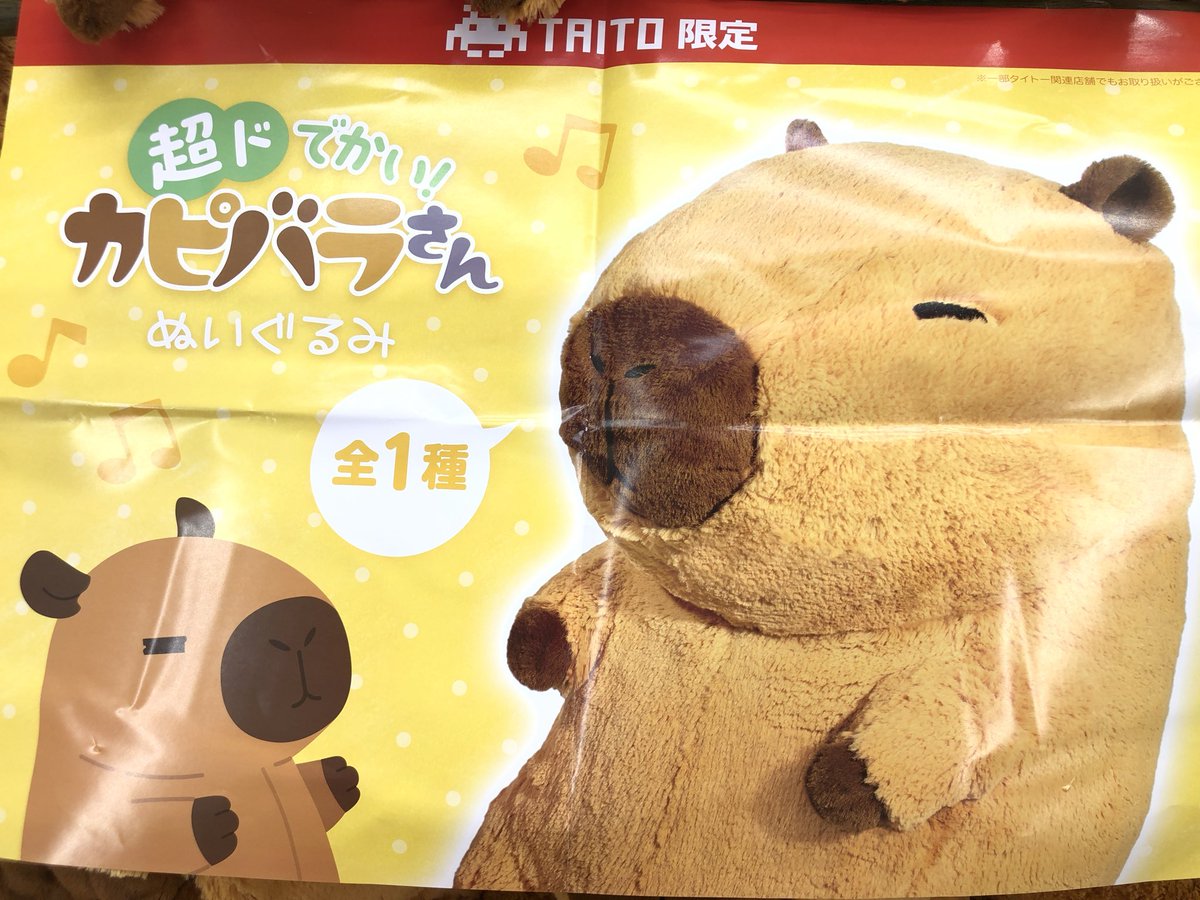 超ドでかい！カピバラさんぬいぐるみ プライズ】 『超ドでかい #カピバラ さん ぬいぐるみ』 再投入しており