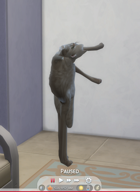 MaddenChan's tweet photo. This is new @TheSimsDirect @TheSims https://t.co/oUX3IDta01