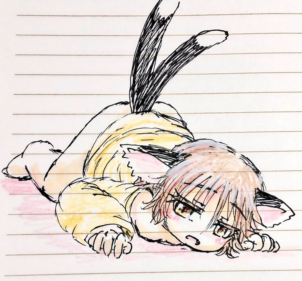 RT @si__geru3: にゃーん