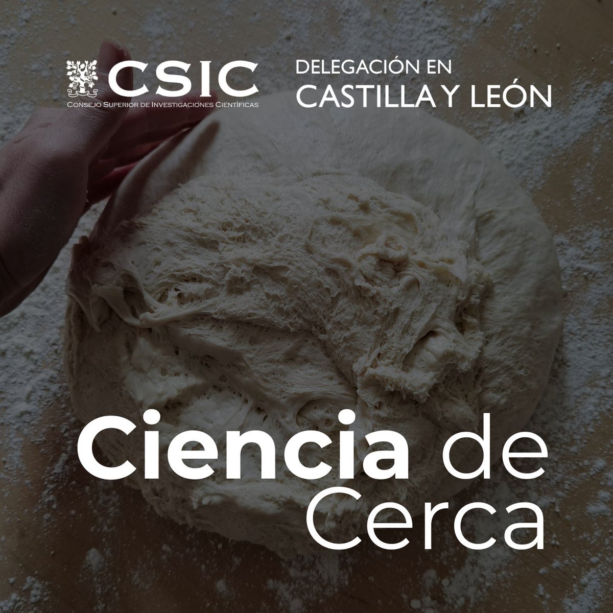 CSIC Castilla y León tweet media