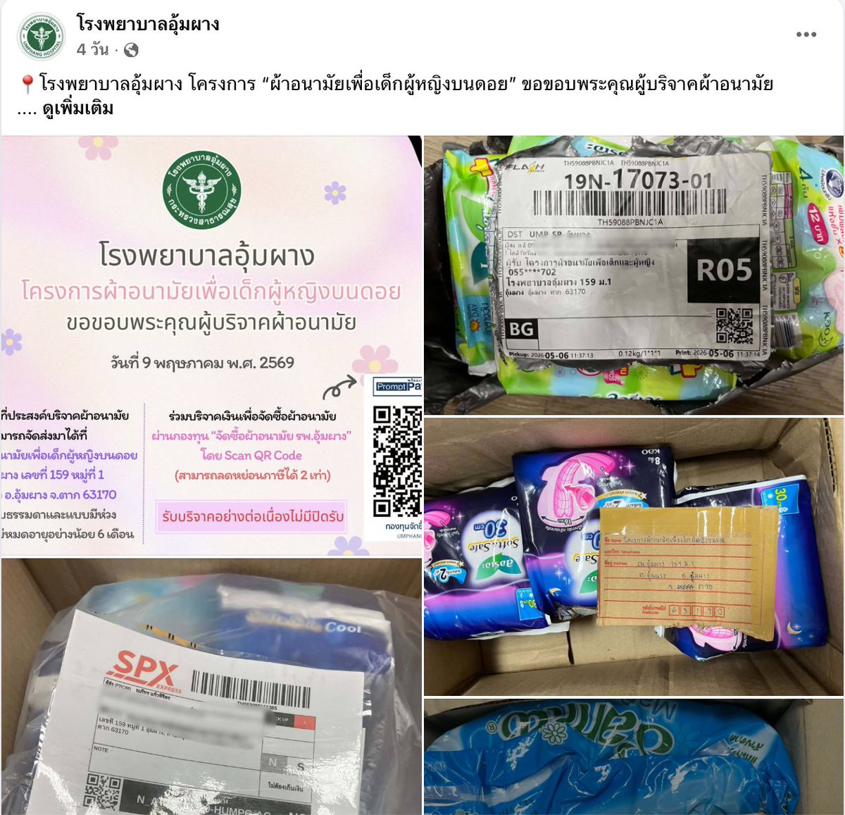 യ * ᴍɪɴᴛʏ • ᴅᴀɪꜱʏ—🎀 tweet media