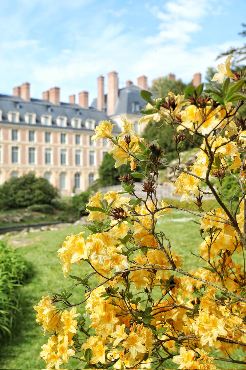 PierreOlley's tweet photo. 🔴 Wouaaaah ! C'est le mot qui vient à l'esprit quand on parcourt les jardins du @CFontainebleau en cette période... c'est si beau ! 🤩

Rhododendrons et azalées sont en spectacle ; on ne s'en lasse pas ! ❤️ #Fontainebleau https://t.co/t5aKeGeIMd