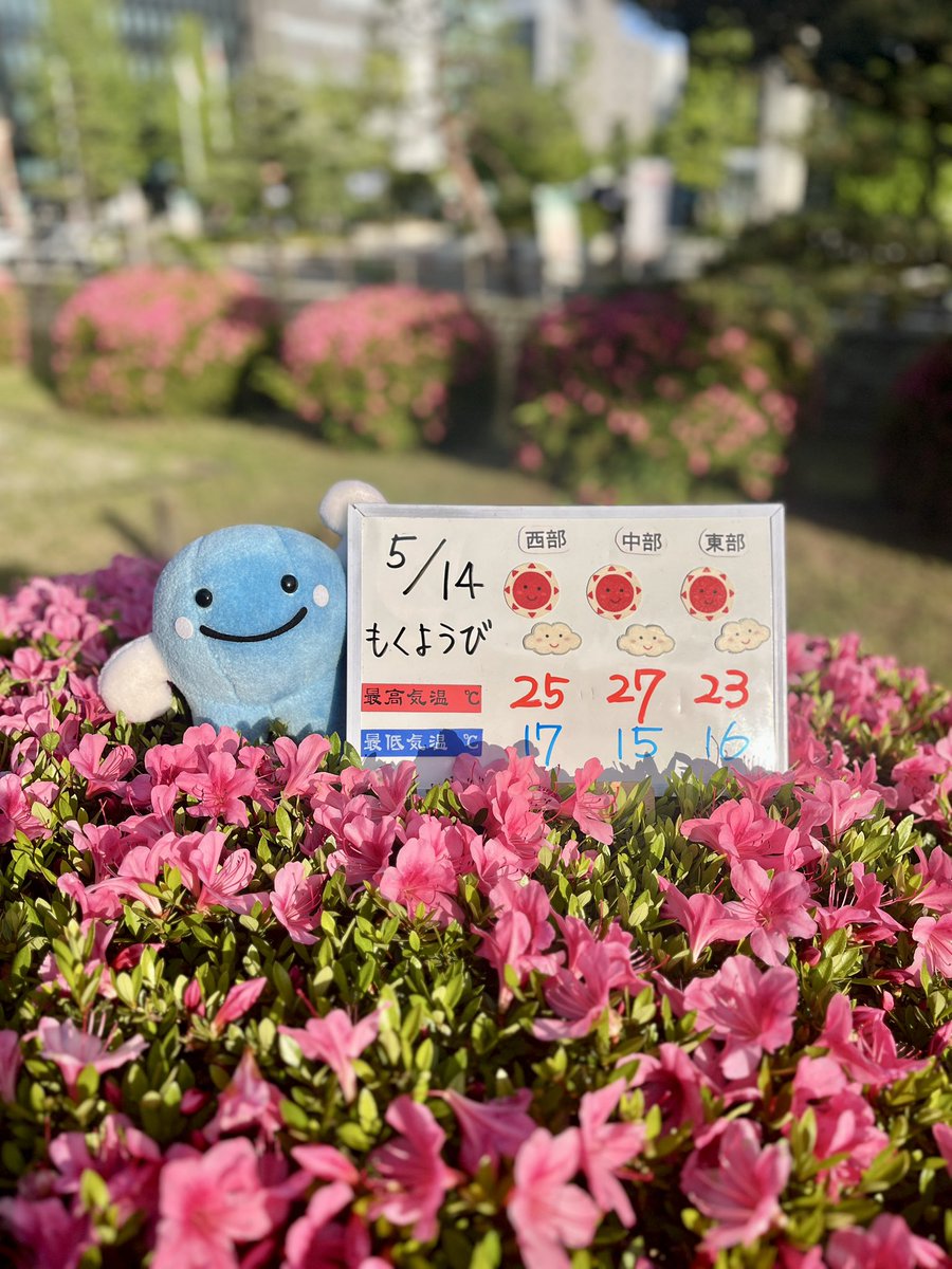 あしたも暑そうやき 日焼け止めをしっかりしてね🧴 ぼく、はや焦げ