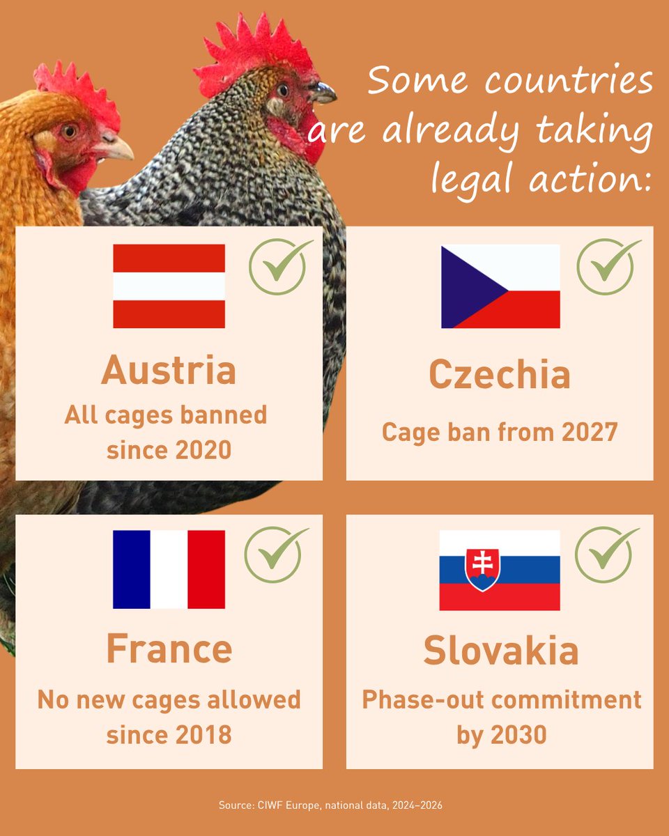 FOUR PAWS International tweet media