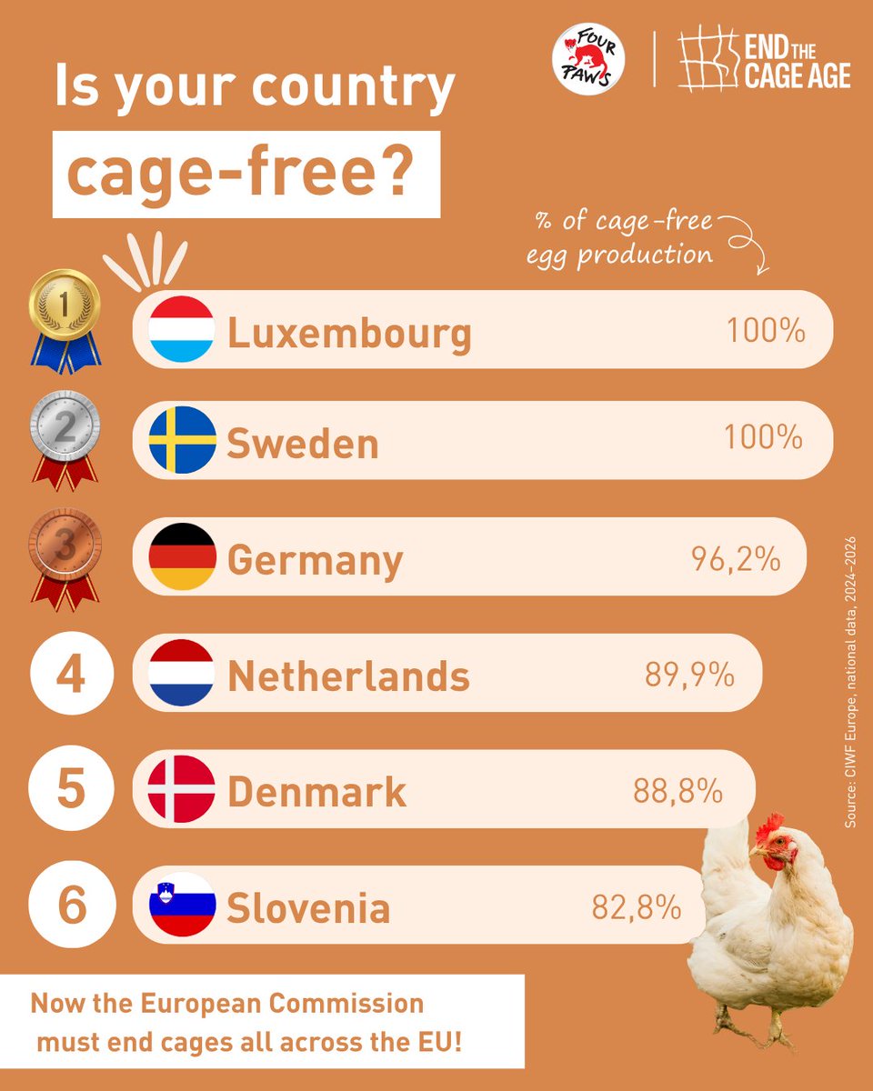 FOUR PAWS International tweet media