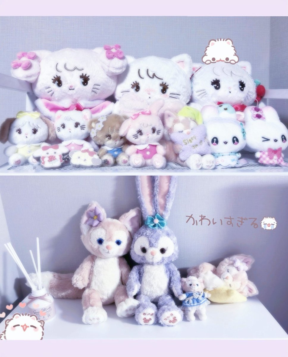 うさたん🐰🤍 (@usa_tanna) / Posts / X