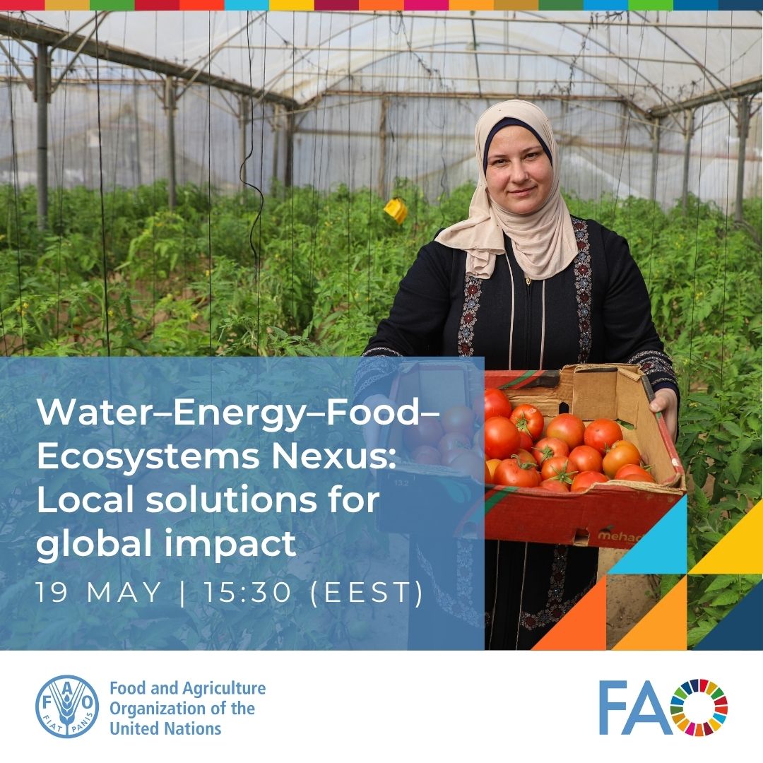 FAO and the SDGs tweet media
