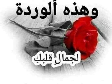 Waleed Goda tweet media