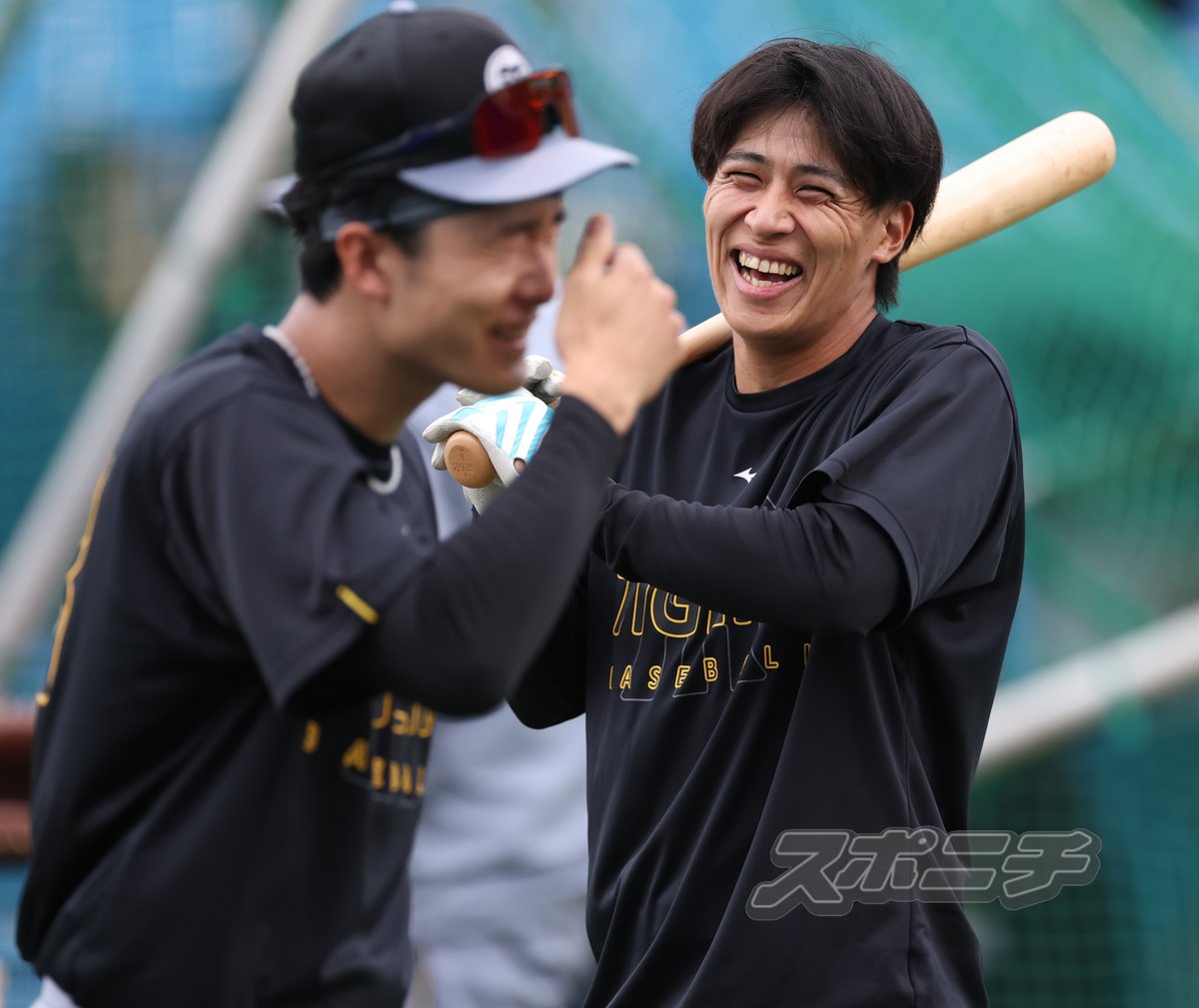 スポニチTIGERSフォト tweet media