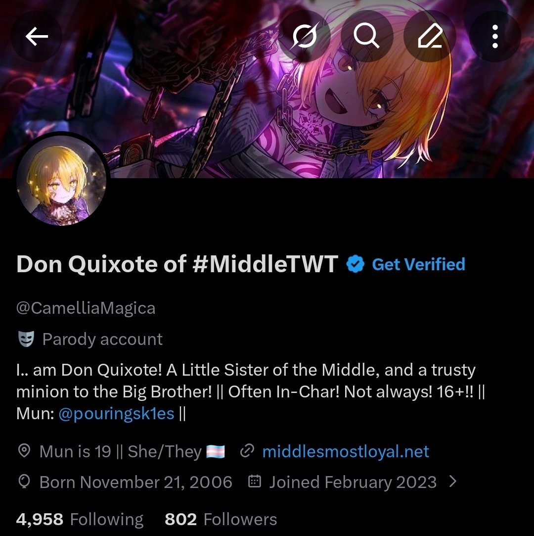 Don Quixote of #MiddleTWT tweet media
