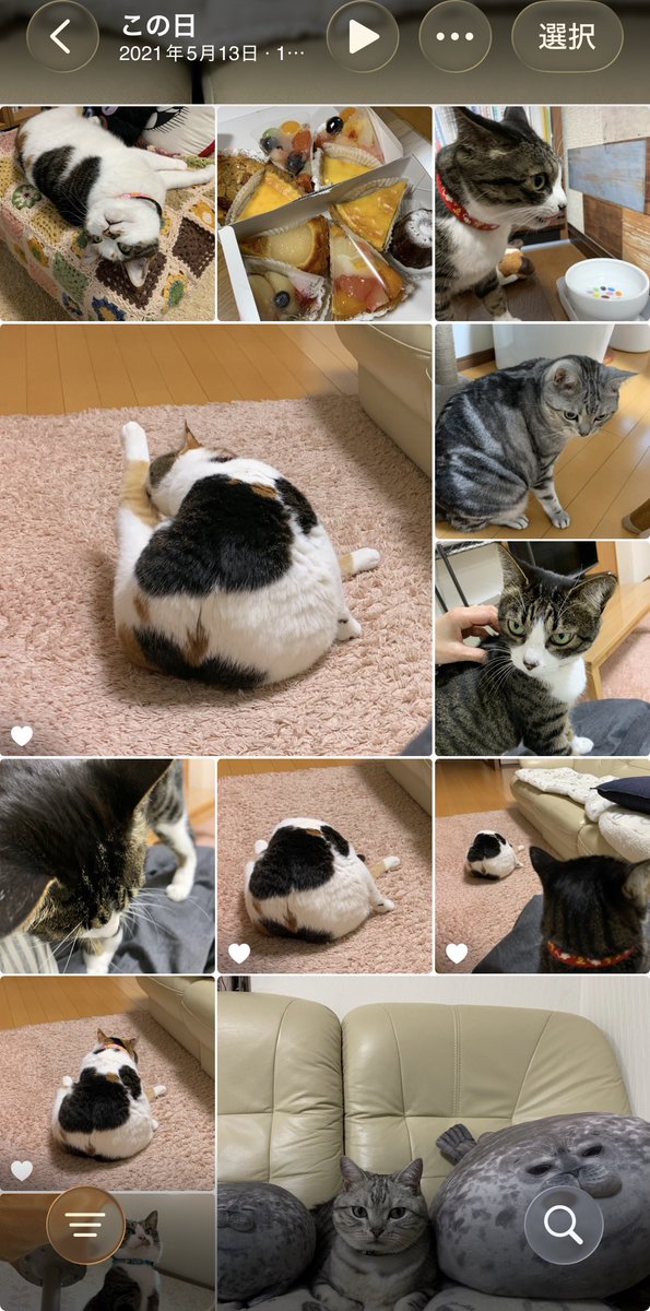 みふゆ(三冬) tweet media